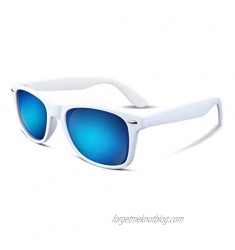 FEISEDY Great Classic Polarized Sunglasses Men Women HD Lens B1858