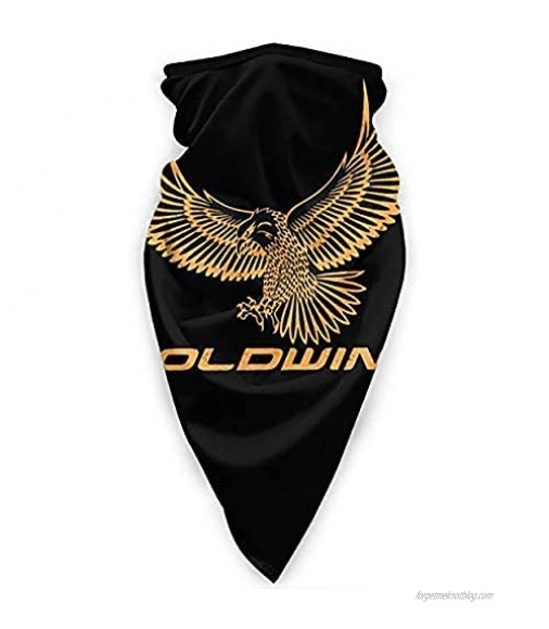 Lusad Goldwing Windproof Sports Mask ，Suitable for Motorcycle Ski Mask Balaclava Outdoor Sports Riding Scarf Black