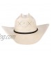 RESISTOL Mens George Strait All My Ex s 4 1/4 Brim Straw Cowboy Hat
