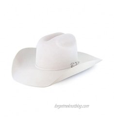 RESISTOL Men's Silverbelly 20X Tarrant Felt Cowboy Hat - Rftant-724271