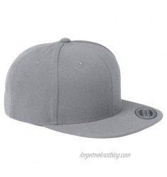 6-Panel Structured Flat Visor Classic Snapback (6089) Silver  OS