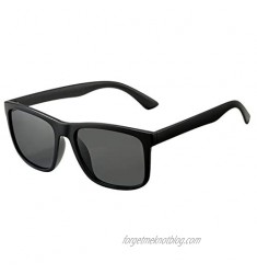 DeBuff Unisex Polarized Sunglasses Classic Retro Sun Glasses  Unbreakable TR90 Frame