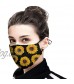 Anti Pollution Dust Mouth Adult Face Cover Muffle with Adjustable Earloop Face Cover for Women Men